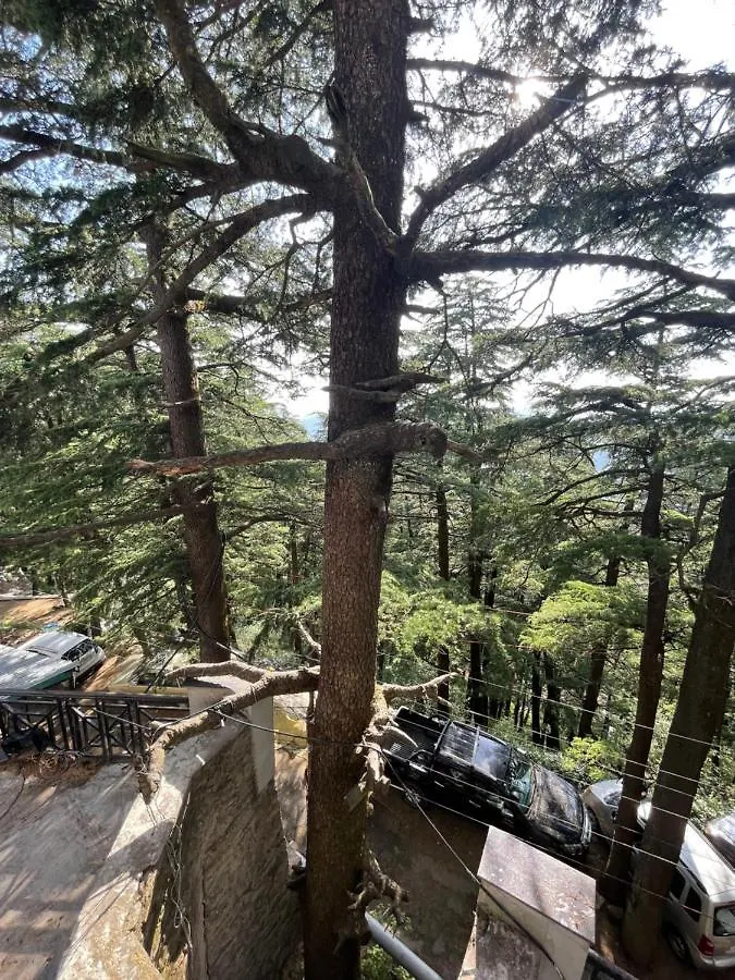 Apartment Deodar Heights Shimla